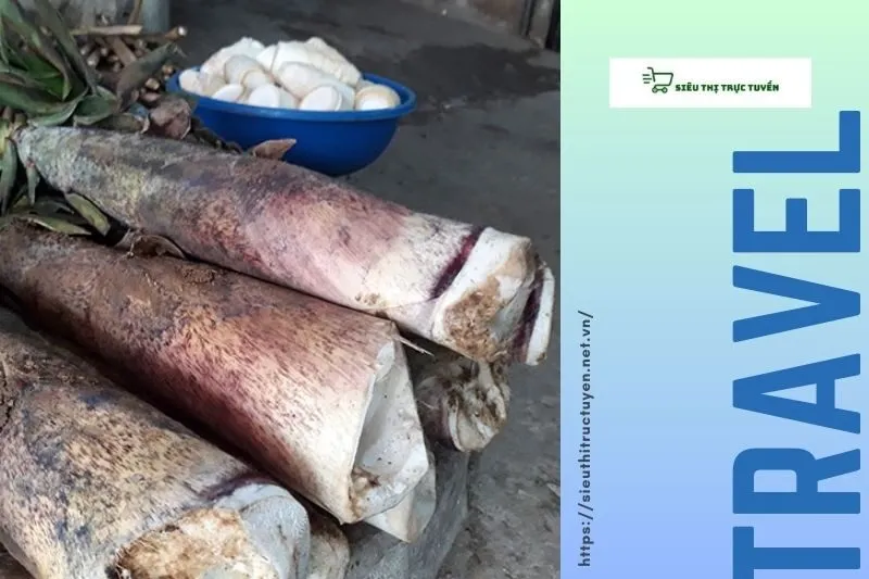 Ẩm Thực Quế Phong – Đặc Sắc Của Vùng Núi Nghệ An
