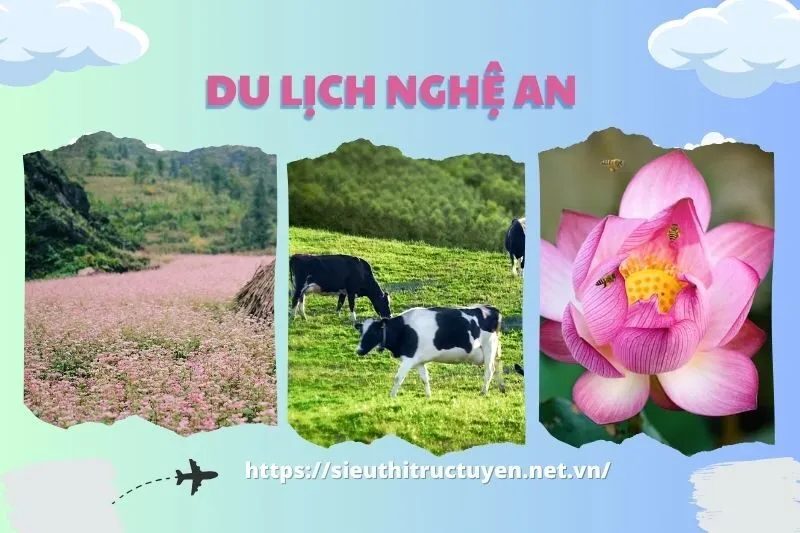 Các Điểm Check-in Nổi Bật ở Nghĩa Đàn