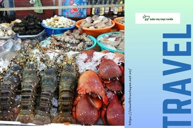 Các hoạt động giải trí và ẩm thực tại Cửa Lò