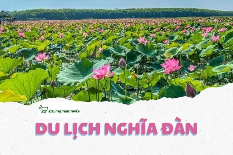 DU LỊCH NGHĨA ĐÀN NGHỆ AN
