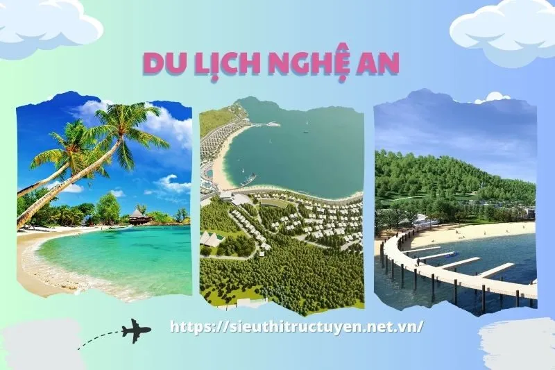 Giới thiệu về Bãi Lữ Nghệ An