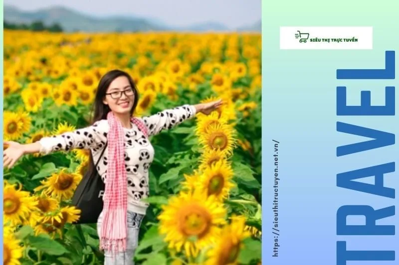 Kinh Nghiệm Du Lịch Cánh Đồng Hoa Hướng Dương Nghệ An