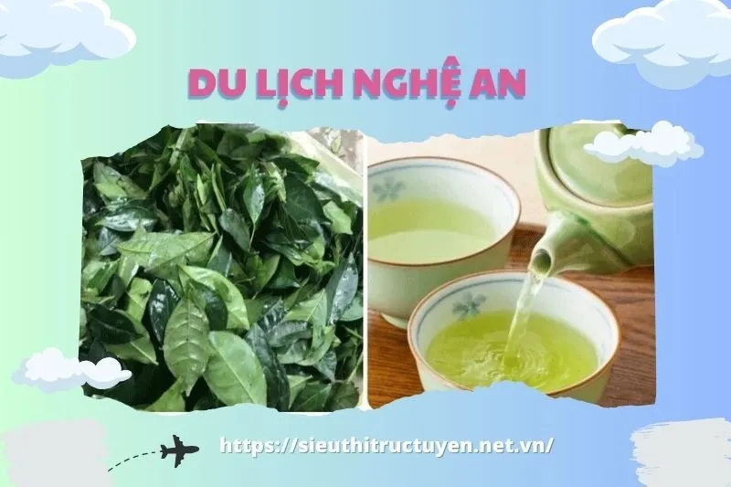 Đặc điểm và hương vị của chè xanh Nghệ An
