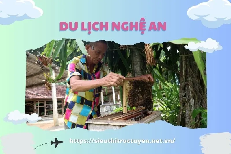 Đặc sản Mật Ong Rừng Nghĩa Đàn Nghệ An