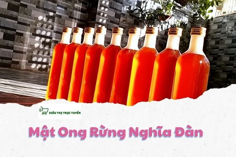 Mật Ong Rừng Nghĩa Đàn nghệ an