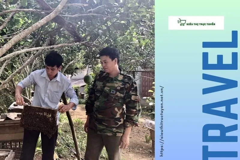 Quy Trình Nuôi Ong Và Sản Xuất Mật Ong