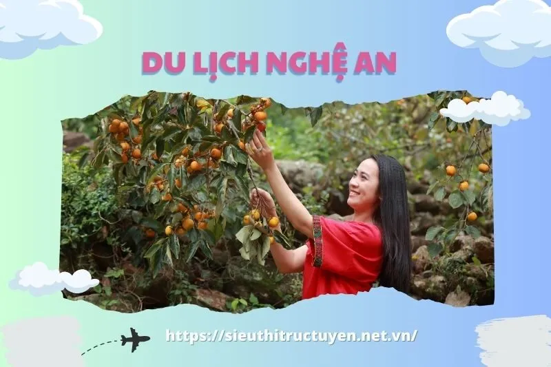Tổng quan về Vườn Hồng Nam Đàn Nghệ An