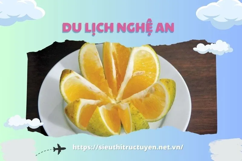 Giới thiệu về cam Xã Đoài Nghệ An