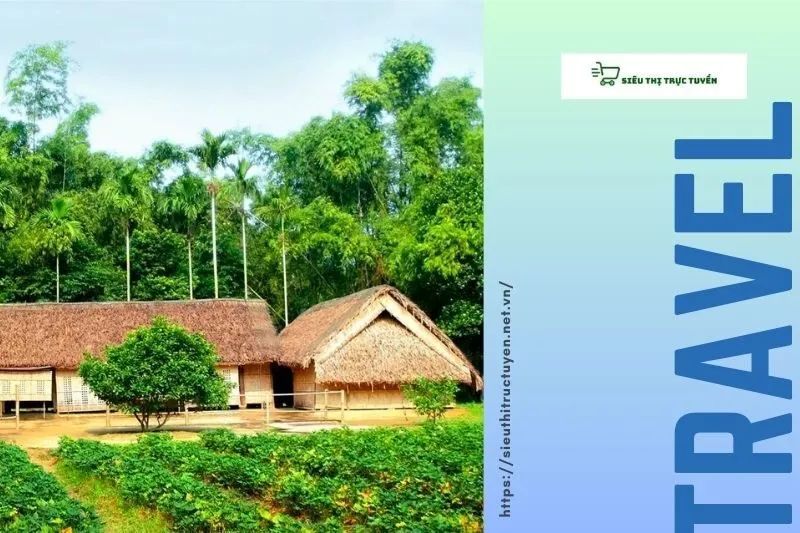 Kinh nghiệm du lịch Nghệ An và thưởng thức miến lươn